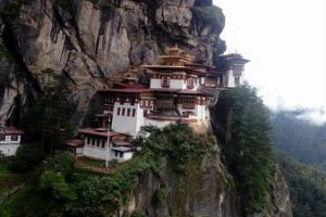Paro